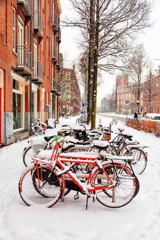 阿姆斯特丹的白色雪下五颜六色的自行车