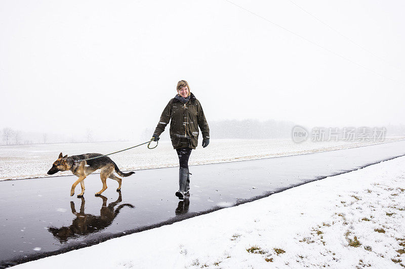 在暴风雪中和狗一起散步