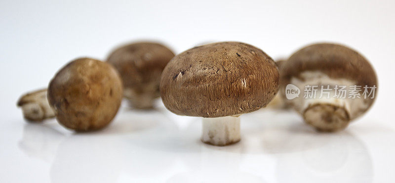 未洗的菇蘑菇