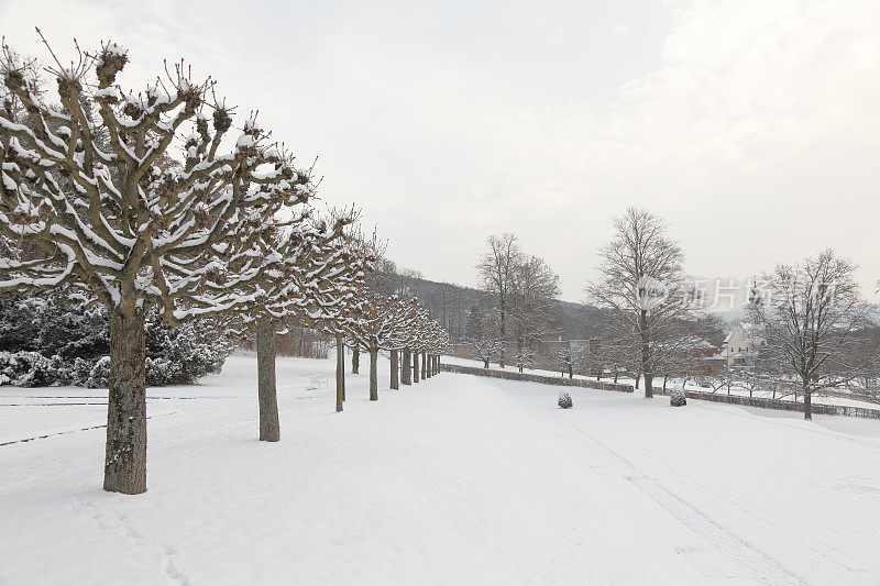 没有人在白雪皑皑的冬季步道上观赏德国公园景观