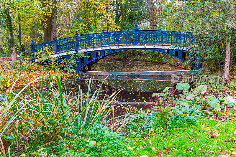 位于Vondelpark运河上的人行桥，四周绿树成荫