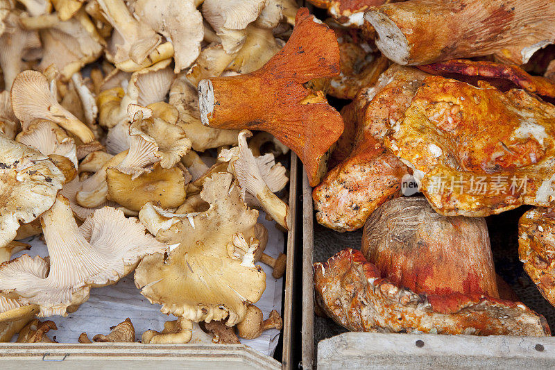 户外市场的蘑菇，鸡油菌和香菇