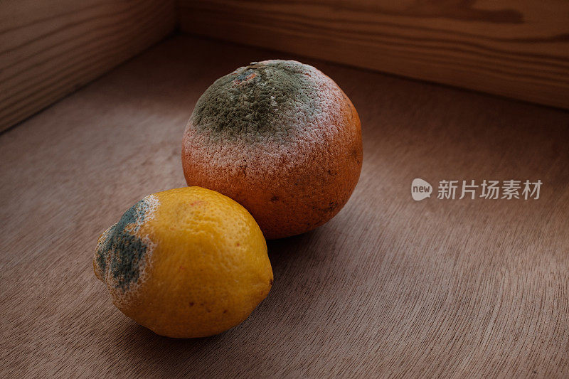 长着绿色霉菌的柑橘类水果。