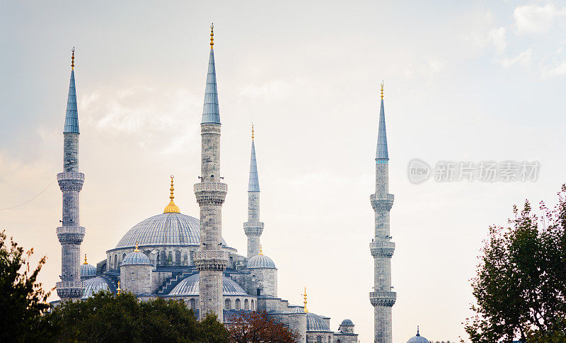 伊斯坦布尔蓝色清真寺的圆顶和尖塔在黎明