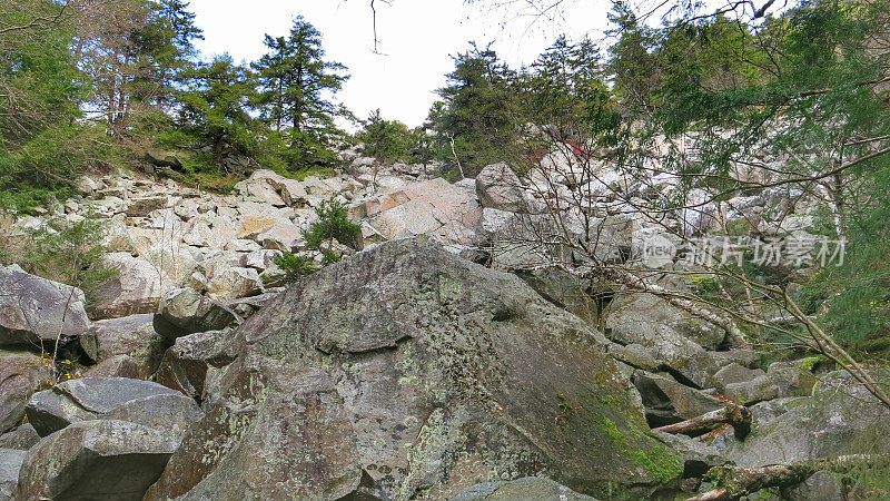 佛蒙特州白石冰床徒步旅行小径冰川岩石滑坡