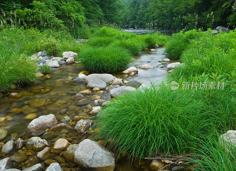 夏天山涧