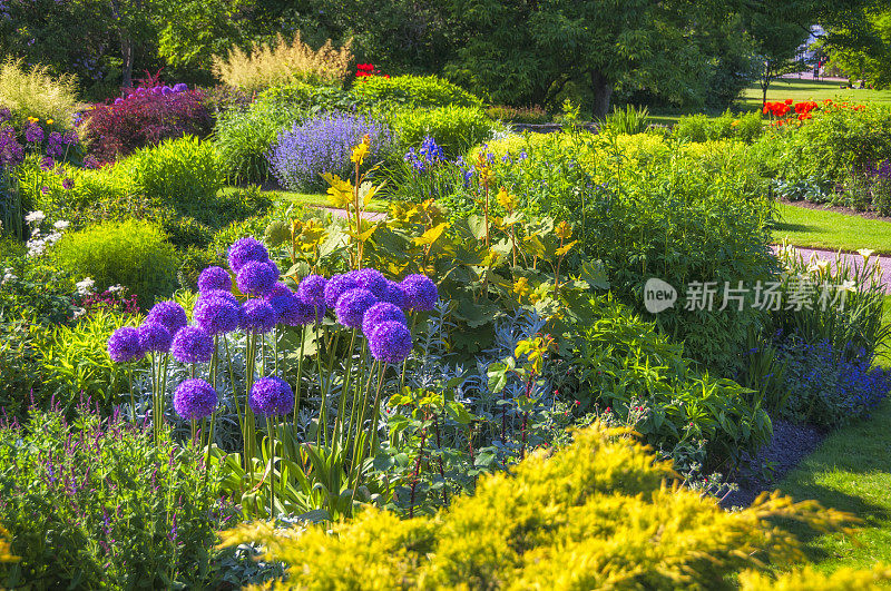 阳光花园