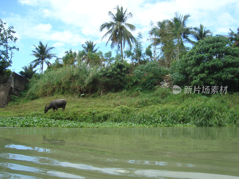 Pagsanjan河、菲律宾