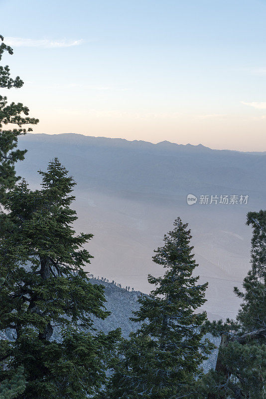 科切拉山谷和棕榈泉