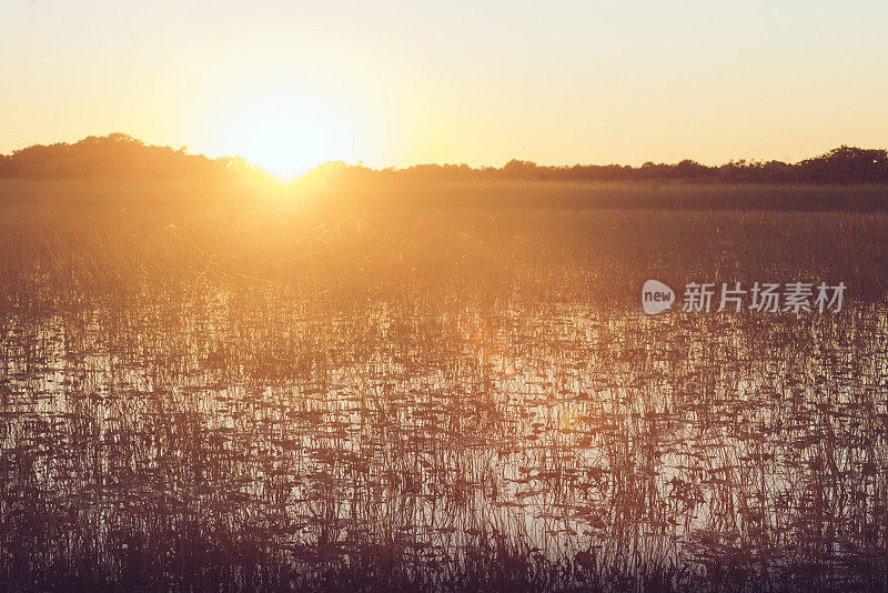 日落在风景优美的大沼泽地国家公园景观美国佛罗里达州