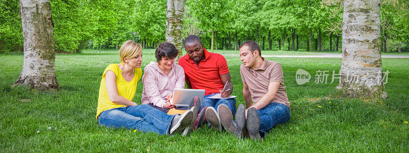 多民族学生坐在户外草地下的桦树下用笔记本电脑工作