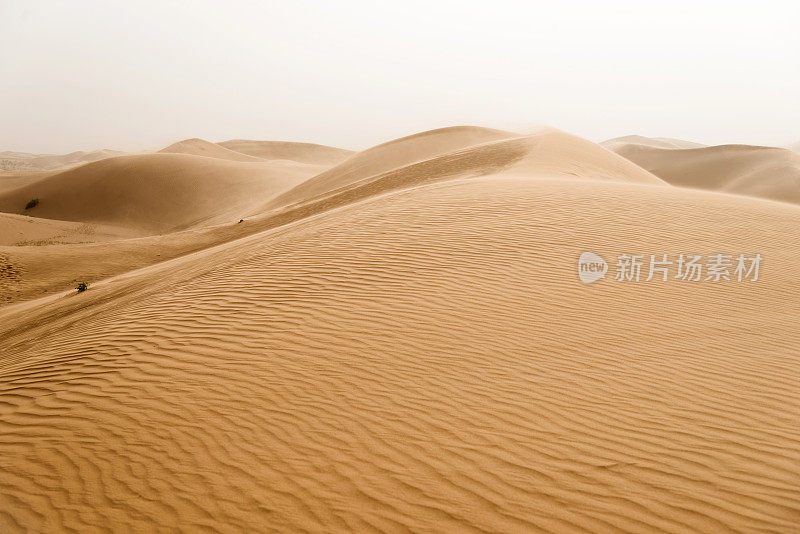 以海浪为背景