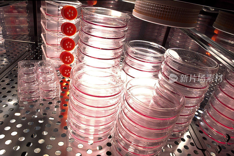 成堆的培养皿用于医学研究和测试