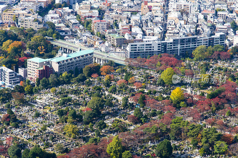 东京市区