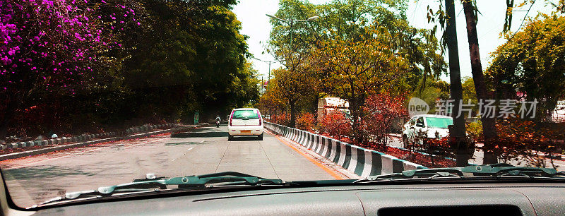 印度浦那的绿树覆盖的道路