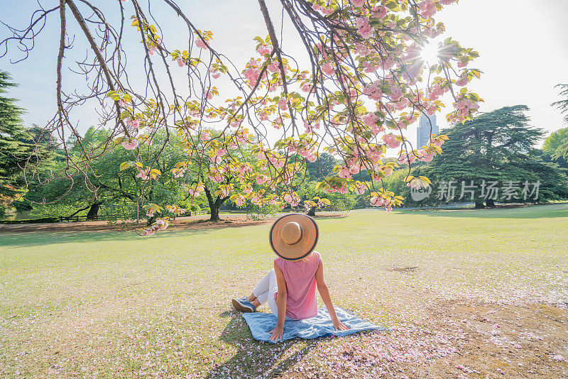 年轻女子坐在樱花树下