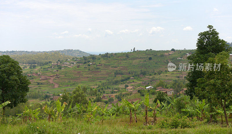 卢旺达基贝霍地区的农村