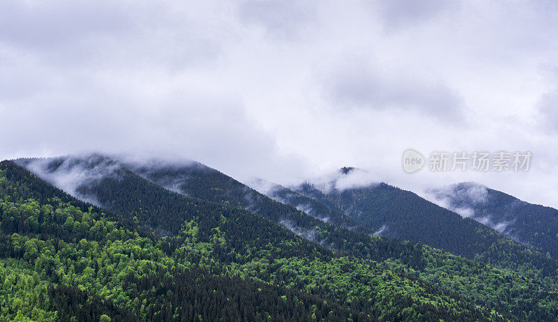 春天的风景