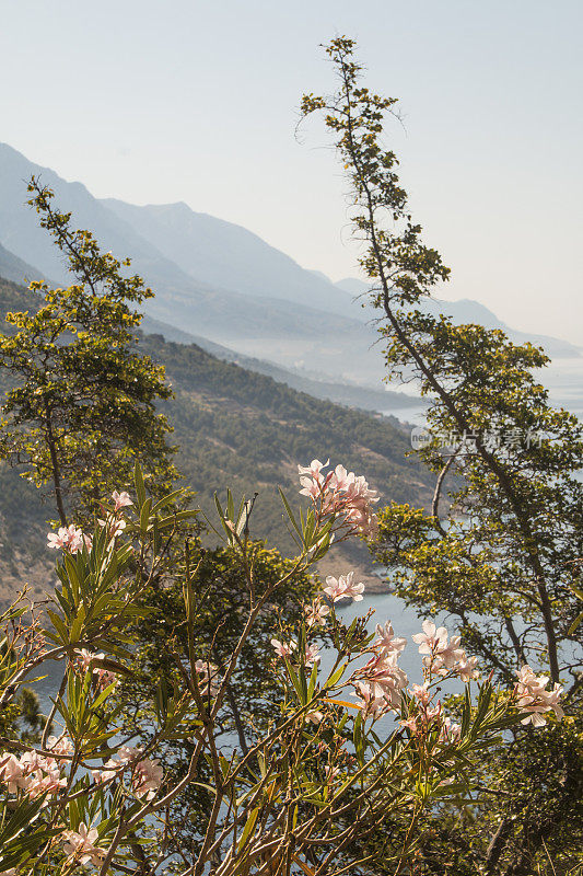 达尔马提亚海岸的美景