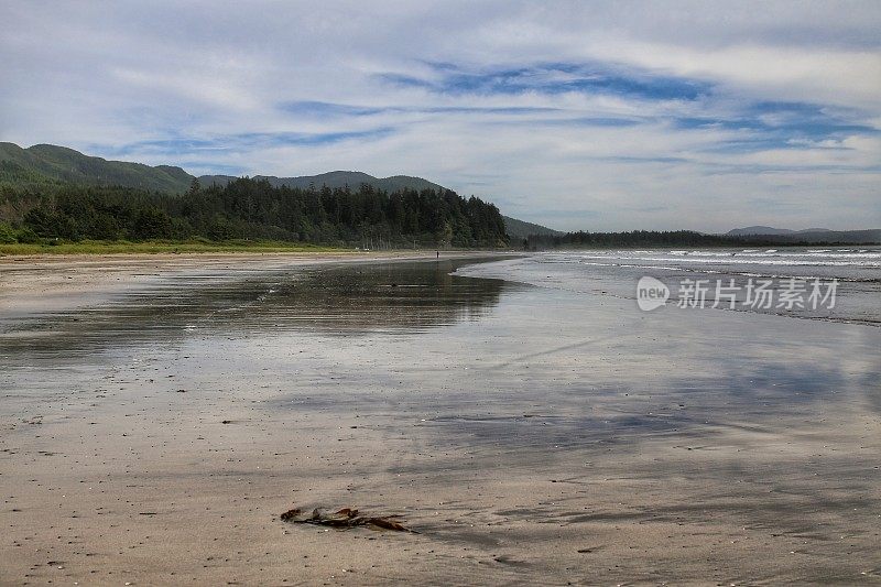 尼亚湾海滩玛卡印第安保留区，华盛顿，奥林匹克国家公园