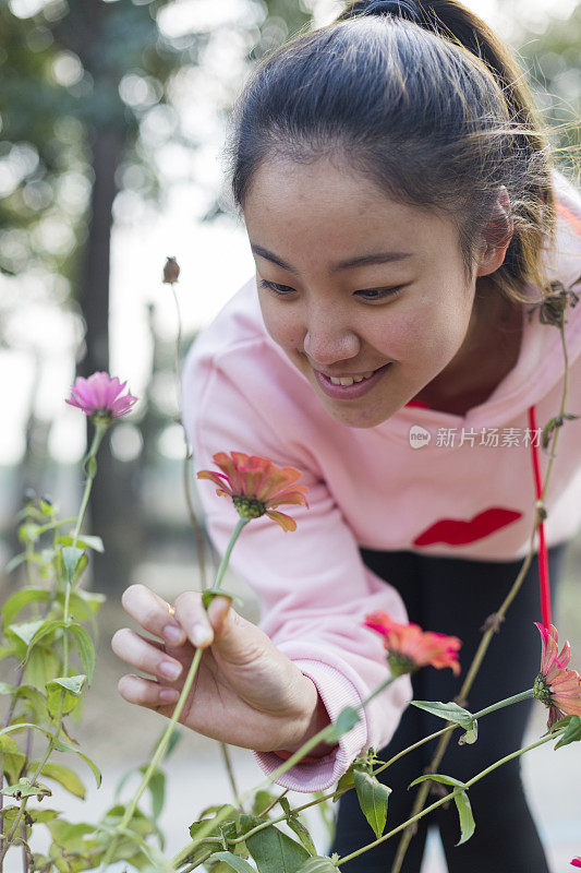 漂亮女人闻花的照片