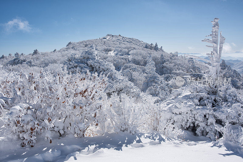 冬季山霜冰