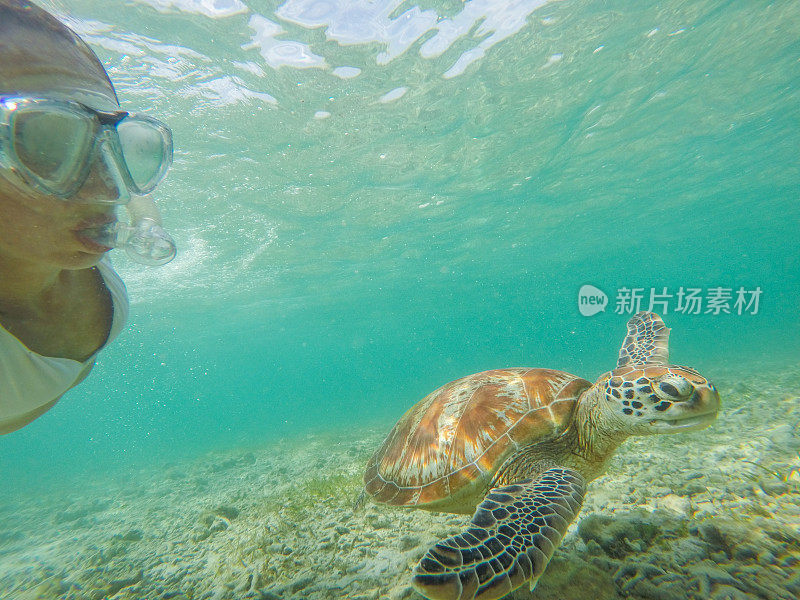 年轻女子与绿海龟水下自拍，度假夏季概念