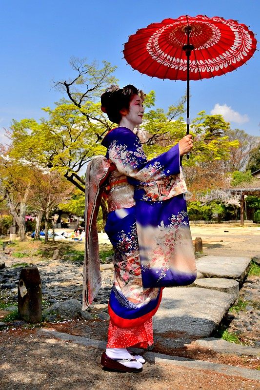 穿着舞子服装的日本女人享受京都的春天