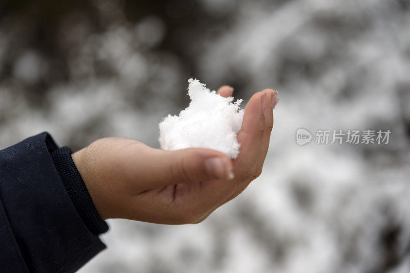 一个年轻女孩的手掌上的雪