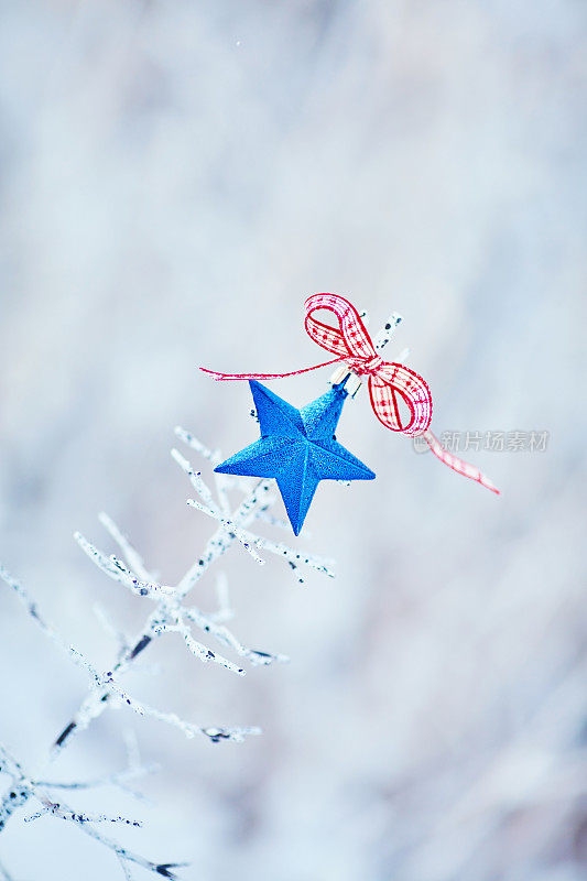 圣诞树与蓝星户外在下雪的天气