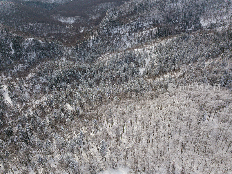 冬季景观，Velebit克罗地亚