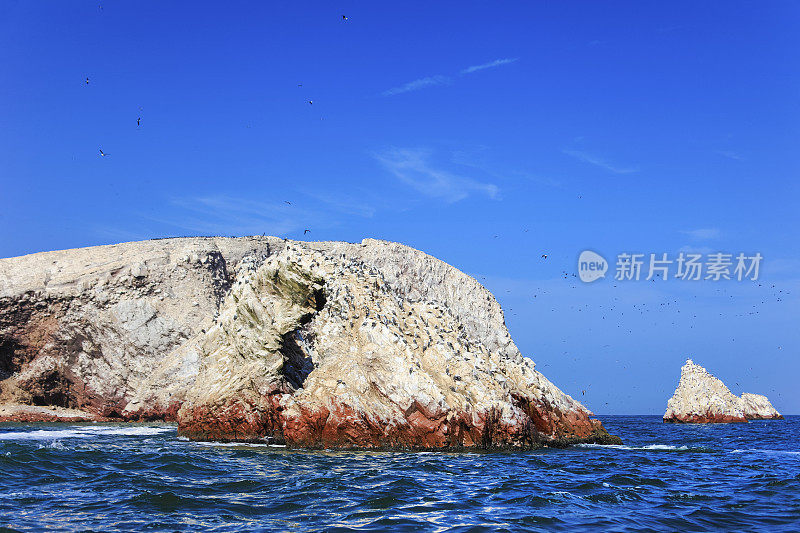 秘鲁海岸巴列斯塔斯群岛上的鸟群