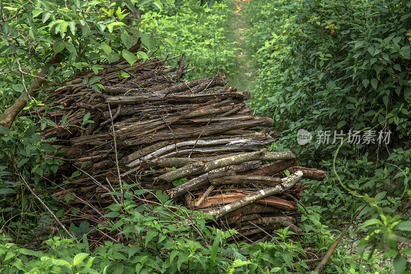 这是喜马拉雅山印度乡村一捆捆干柴的图片。