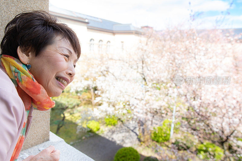 年长日本女人