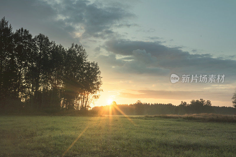 太阳从地平线升起的瑞典夏日美景