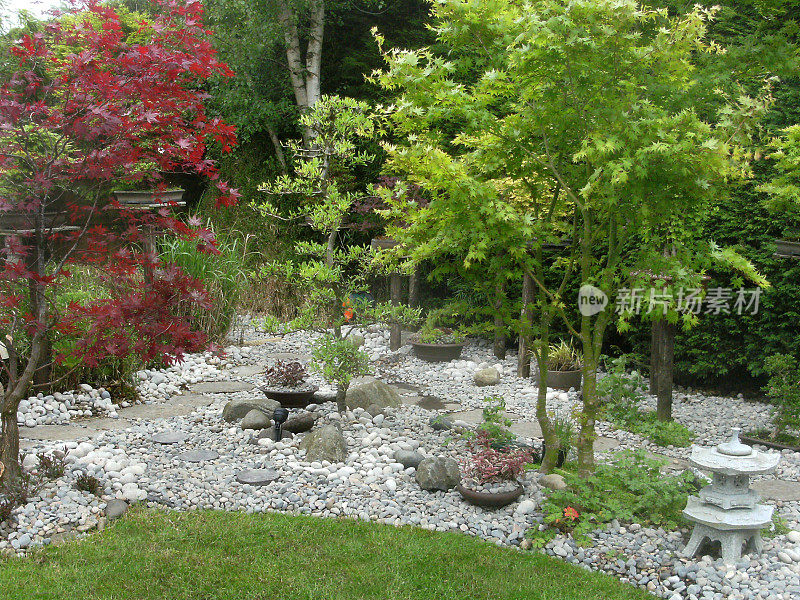 日本元素花园中的踏脚石路径图像，花岗岩灯笼，竹子，鹅卵石，盆景和日本枫树(槭树)