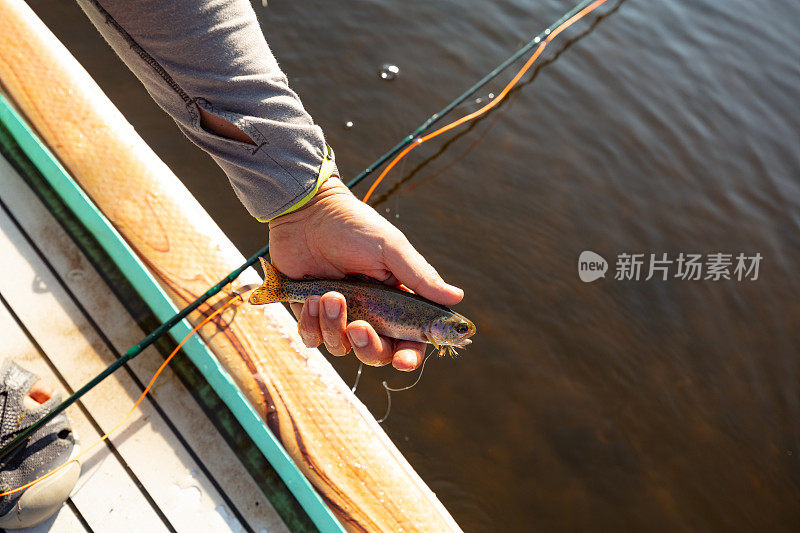直立桨式钓鱼