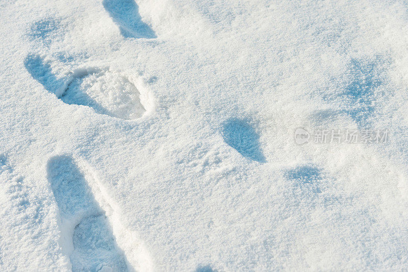 雪地里的脚印