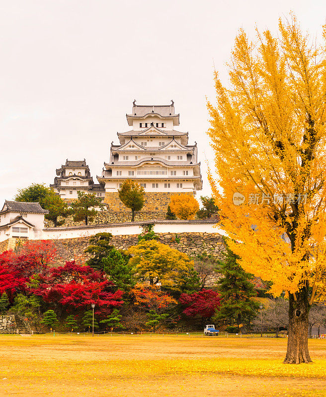 姬路城堡，又名白鹭城堡，位于日本的秋季。