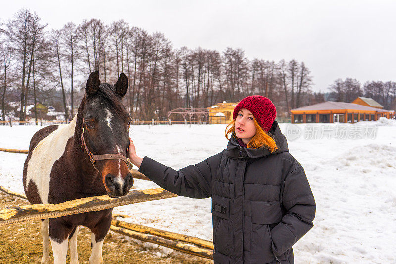 一个红发少女在雪天的牧场拍马。冬天周末在农场，去乡下旅行。健康的生活方式，积极的休闲，真实的时刻