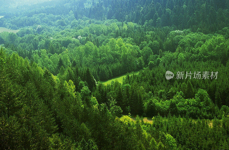 汝拉是法国东部Bourgogne-Franche-Comté的一个部门，以汝拉山脉命名