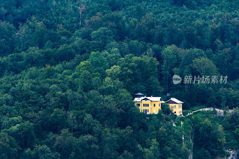 黄色的房子在绿色的森林里