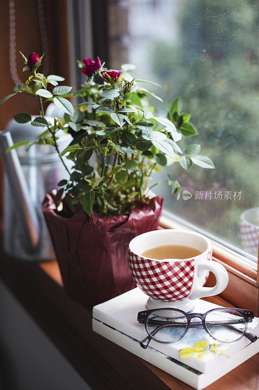 窗台上放着盆栽和一杯茶