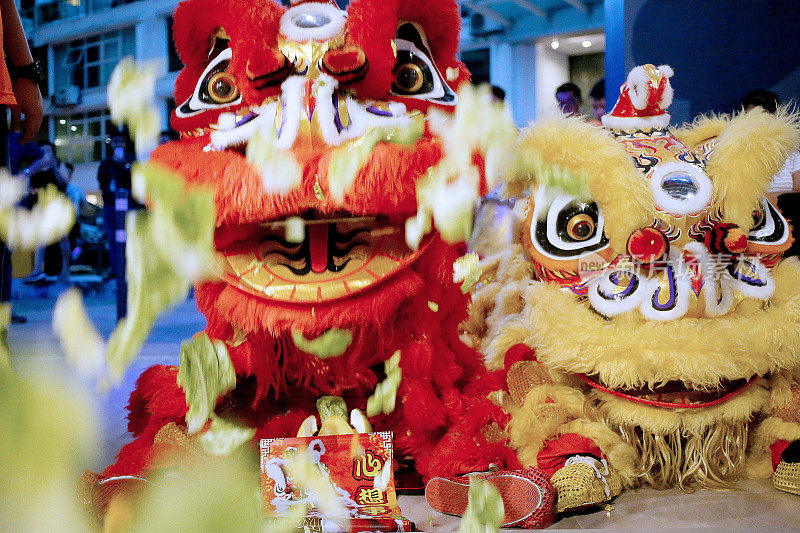 中国新年-舞狮表演