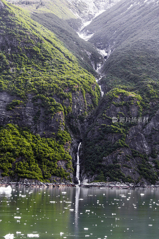 瀑布从森林山的一侧流下，进入阿拉斯加的特蕾西海湾