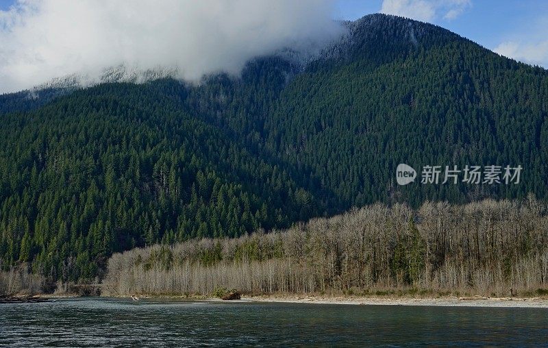 索克人山地雨林