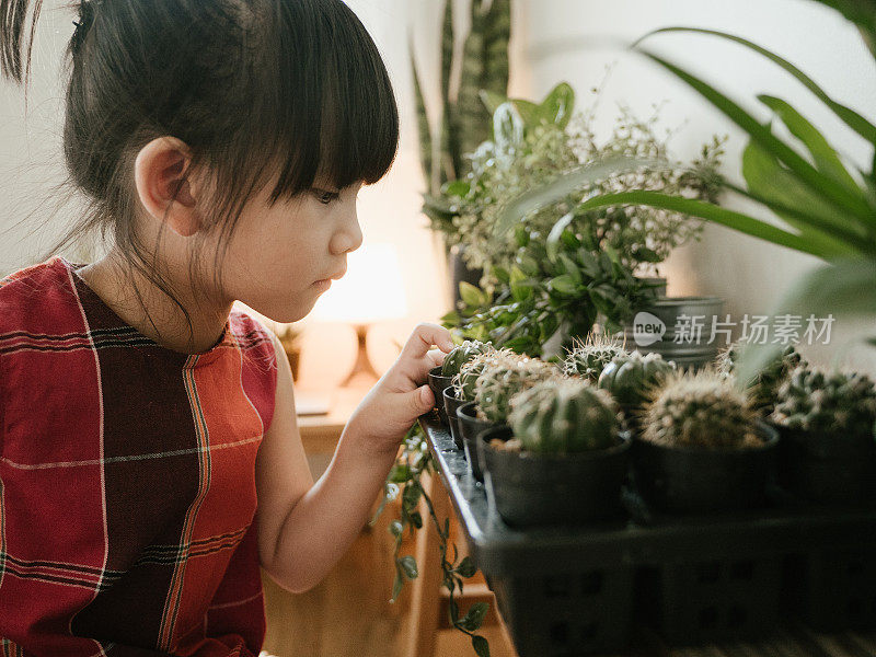 孩子在家里照料植物。