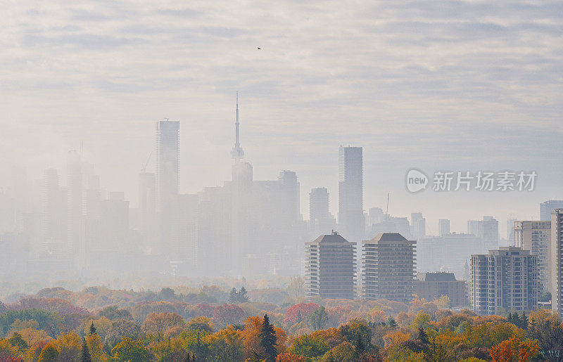 多伦多城市天际线在秋天的颜色和雾
