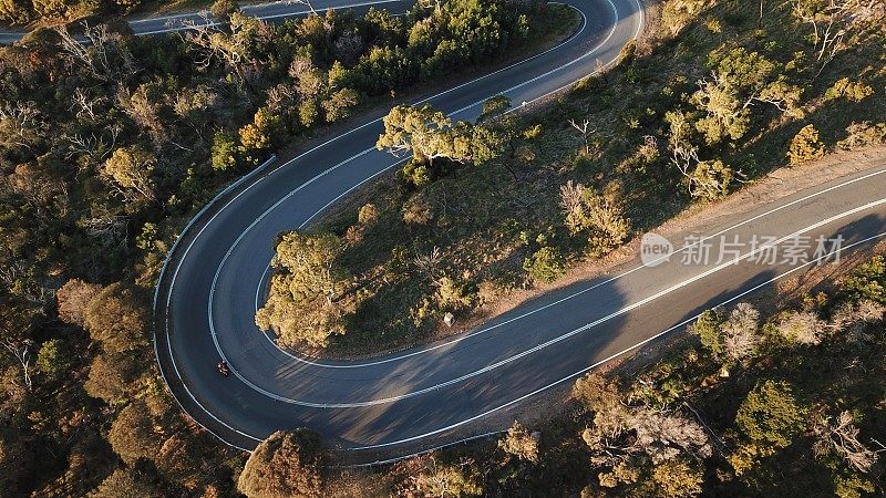 森林中蜿蜒道路