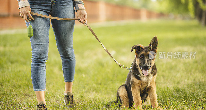 一个年轻女子和她的德国牧羊犬在公园散步